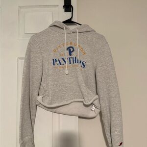 Gray Pittsburgh Panthers Hoodie